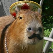 bobomeister capybara's - Steam avatar