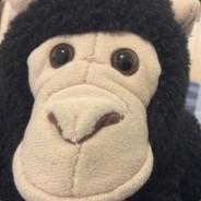 Skippi's Stream profile image