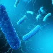 Clostridium's - Steam avatar