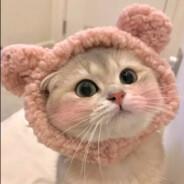 肘击派还在肘's Stream profile image