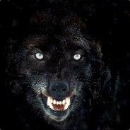 Wolf's Stream profile image