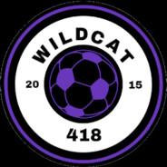 Wildcat418's - Steam avatar