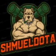 shmueldota's Stream profile image