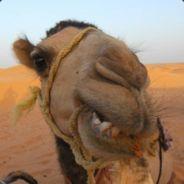 TheShamo's Stream profile image