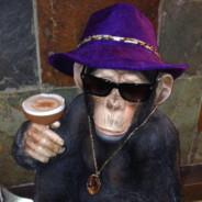 Pimp Chimp's Stream profile image