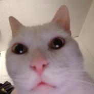 DROCHILA 666's Stream profile image