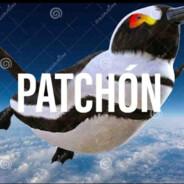 Patchon's Stream profile image