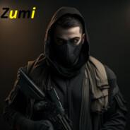 T.H.S.C Zumi's Stream profile image