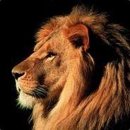 Lion's - Steam avatar