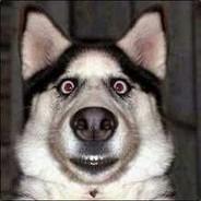 eresta2's Stream profile image