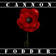 Cannon Fodder's - Steam avatar