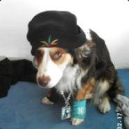 przessor_chaos's Stream profile image