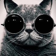 kovacek's Stream profile image
