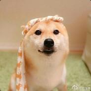 普通人阿闻's Stream profile image