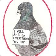 Pigeons Are Assholes's - Steam avatar