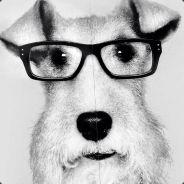 [BG]Sven [GER]'s Stream profile image