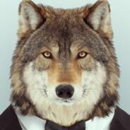 COL_WOLF's Stream profile image