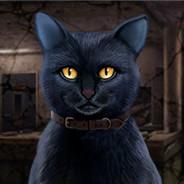 Sergey_Xleb's Stream profile image