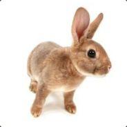 S.C.C.H][Rabbit's Stream profile image