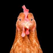 Chicken Master's Stream profile image