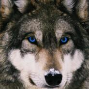 BlueBerry's Stream profile image