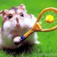 crountie78's Stream profile image