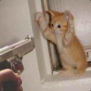 BLACKJESTER541's Stream profile image