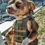 Agent's Stream profile image