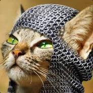 fontgi's Stream profile image