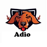 adio's - Steam avatar