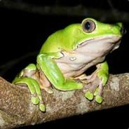 kambo_frog's Stream profile image