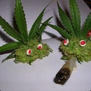 PotHead's - Steam avatar