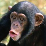 UnSouled's Stream profile image
