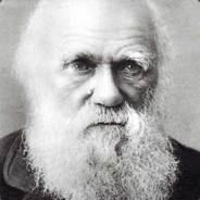 St. Darwin's Stream profile image