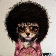 Kiel's - Steam avatar