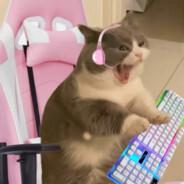 Lu's Stream profile image