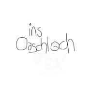 Ins Oaschloch's - Steam avatar