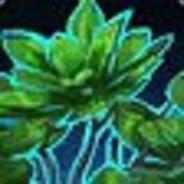 Atanmok Ánmojat's Stream profile image