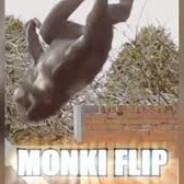 Monki Flip's Stream profile image