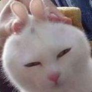 盗号的你妈死了？'s Stream profile image