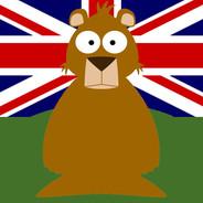 Bare_British_Bear's - Steam avatar