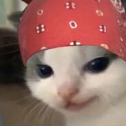 Fil Phoden's Stream profile image