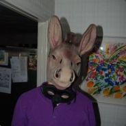 Warstar's Stream profile image