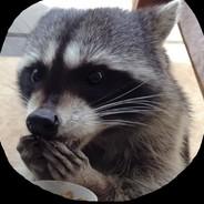 General Coon's Stream profile image