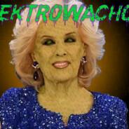 Elektrowachon's Stream profile image