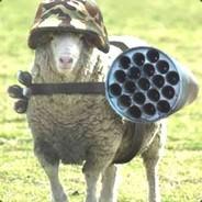 Master sheep's Stream profile image