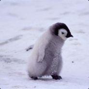 PinguSpectre's Stream profile image