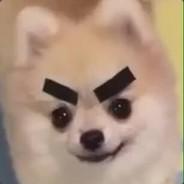 SirCerealBox's Stream profile image