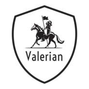 Valerian's - Steam avatar