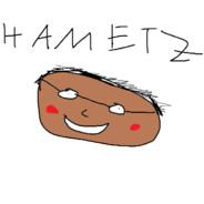 Hametz's - Steam avatar